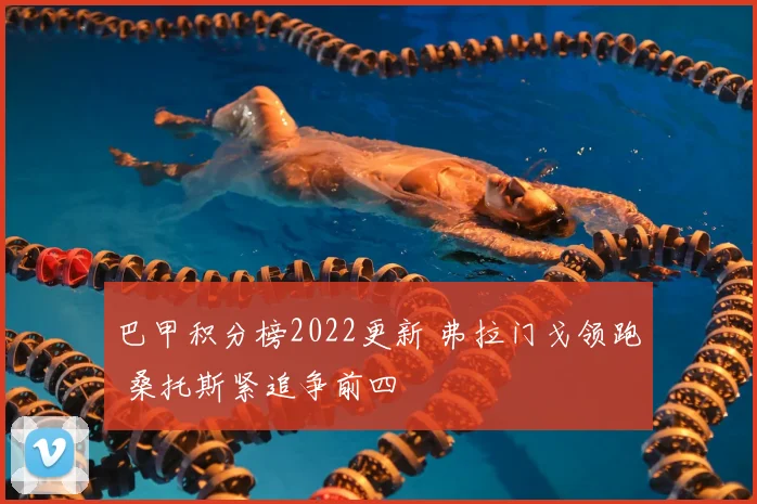 巴甲积分榜2022更新 弗拉门戈领跑 桑托斯紧追争前四